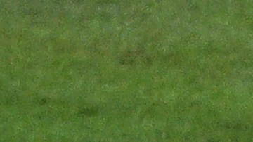 Ochoa mantuvo el cero en su arco.