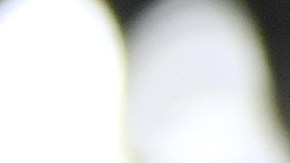 Cámara de televisión con distintivo del Mundial de Qatar 2022 y un oso de peluche.