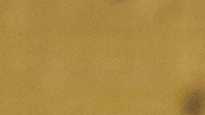 Selección de Estados Unidos entrenando en Qatar 2022.