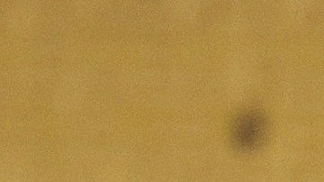 Selección de Estados Unidos entrenando en Qatar 2022.