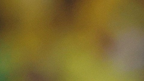 Neymar, delantero brasileño en el Mundial Qatar 2022.