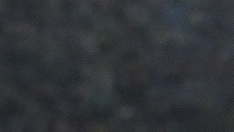 Lionel Messi, jugador de la Selección de Argentina celebra un gol en Qatar 2022.
