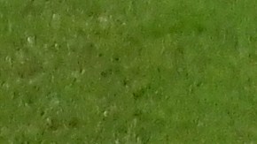 Edson Álvarez celebrando el gol de Henry Martín ante Arabia Saudita.