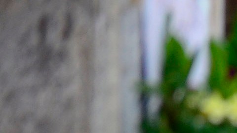 Patricia Quintana es una de las mayores promotoras de la comida mexicana.