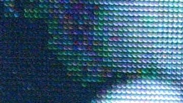 Lisa Marie Varon, conocida como "Victoria" en WWE.