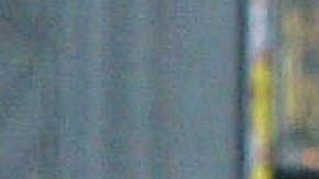 Los fanáticos del equipo del club de béisbol de la Liga Central Hanshin Tigers se reúnen para ver cómo los fanáticos saltan al río Dotombori el 15 de septiembre de 2003 en el centro de Osaka, Japón. Los Tigres ganaron el banderín de la Liga Central por primera vez en 18 años.