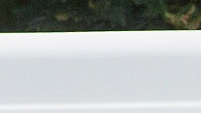 Tiroteo dentro de escuela secundaria en Seattle deja un herido grave; sospechoso queda bajo custodia