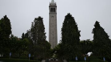 BERKELEY, CA - MAY 22: A view of Sather Tower on the UC Berkeley campus on May 22, 2014 in Berkeley, California. According to the Academic Ranking of World Universities by China's Shanghai Jiao Tong University, Stanford University ranked second behind Harvard University as the top universities in the world. UC Berkeley ranked third. (Photo by Justin Sullivan/Getty Images)