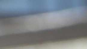 Miles de veteranos, militares y sus familias recibirán la ciudadanía el Día de los Veteranos.