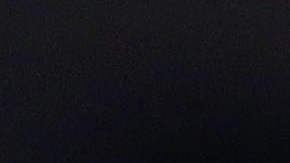 Autoridades de Texas ofrecen recompensa por los responsables de matar a 2 águilas calvas