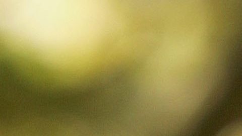 Una soga atada con nudo de horca se reconoce como símbolo de odio racial en EE.UU.