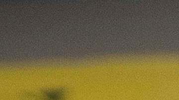 En su mayoría, los perpetradores de los tiroteos en Estados Unidos son menores de 21 años.