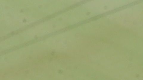 Hassan al-Thawadi, alto funcionario de la organización del Mundial Qatar 2022.