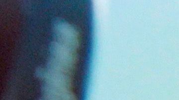 Leao recibió la medalla luego de que la Canarinha venciera a Italia en la final.