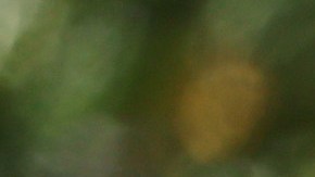 Gobernador de California Gavin Newsom liberará mil millones de dólares para personas sin hogar