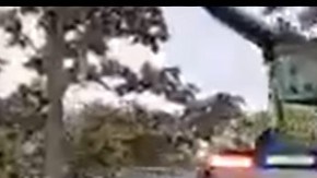 Grupo Élite del CJNG