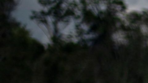 Grupo indígena peruano secuestra a 70 turistas, incluidos estadounidenses, en la selva amazónica para protestar por derrame de petróleo