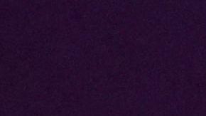 Hervé Renard, DT de Arabia Saudita, en conferencia de prensa.