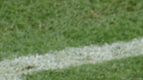 Hervé Renard entrenador de Arabia Saudita.