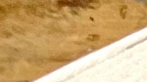 El diario La Opinión