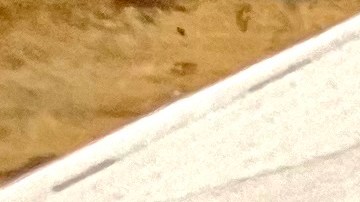 El diario La Opinión