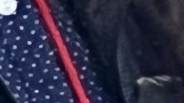 Despierta inquietud entre angelinos la propuesta para aumentar los servicios de trámites migratorios. (Archivo/Impremedia)