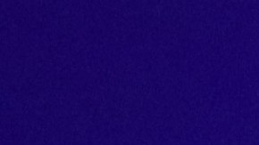 Diego Cocca, nuevo entrenador de Tigres UANL.