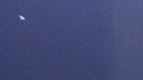 Pumas UNAM en la jornada 13 del Torneo Apertura 2022.