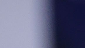 Dani Alves, lateral derecho brasileño de Pumas de la UNAM.