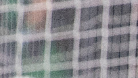 Alexis Vega festeja un gol con el Tri.