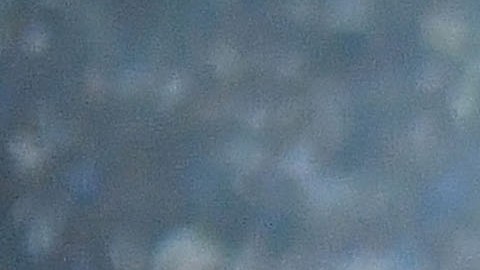Plantilla de Rayados de Monterrey durante el partido de vuelta de las Semifinales del torneo Apertura 2022 de la Liga MX.