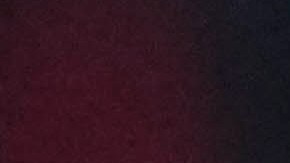 El entrenador Guillermo Almada durante el último partido de la final del Toneo Apertura 2022 ante Toluca.