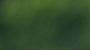 Raúl Jiménez, delantero mexicano, durante los entrenamientos con El Tri en España antes del Mundial Qatar 2022.