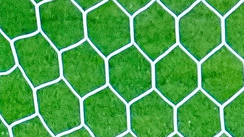 Guillermo Ochoa se puso la capa de héroe nacional y los jugadores de Chivas lo celebraron.