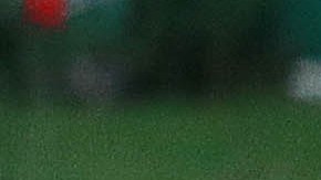 Rafa Márquez y Chicharito fueron compañeros en la Selección Mexicana.