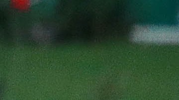 Rafa Márquez y Chicharito fueron compañeros en la Selección Mexicana.