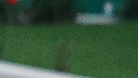 Rafa Márquez y Chicharito fueron compañeros en la Selección Mexicana.