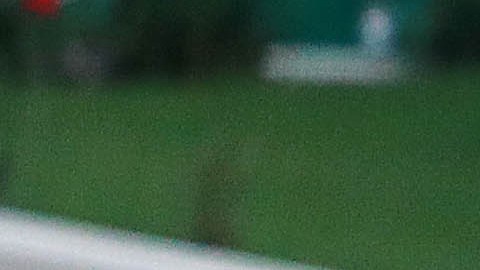 Rafa Márquez y Chicharito fueron compañeros en la Selección Mexicana.
