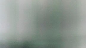 Héctor Herrera y Carlos Vela.