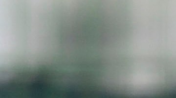 Héctor Herrera y Carlos Vela.