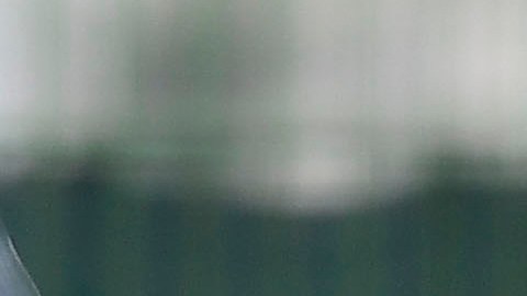 Héctor Herrera y Carlos Vela.