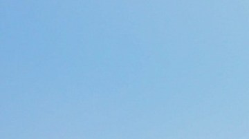 Álvaro Morales, periodista mexicano.