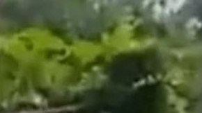 Joven golpea a adulto mayor