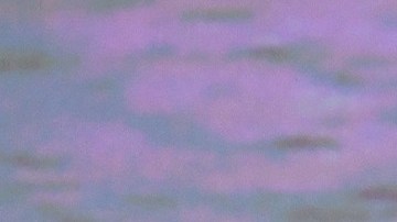 Joven multimillonario perdió el 94% de su fortuna en un solo día