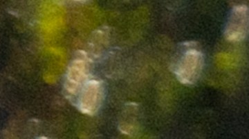 La Noche del Diablo desaparece en Detroit. La ciudad por fin recupera Halloween