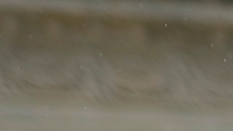 La Corte Suprema se inclina por acabar con la acción afirmativa en las admisiones universitarias