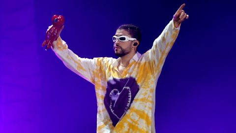 Loro caba con las ilusiones de un fan de Bad Bunny