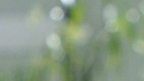 Los Ángeles pagará millones a la familia de latino asesinado por la policía en 2020