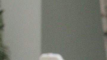 Lupillo Rivera y Mayeli Alonso poco antes de casarse en el 2006.