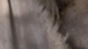 Mexicano de 30 años abatido junto a cuatro amigos heridos en tiroteo en Costa Mesa provocado por posible incidente de furia en la carretera